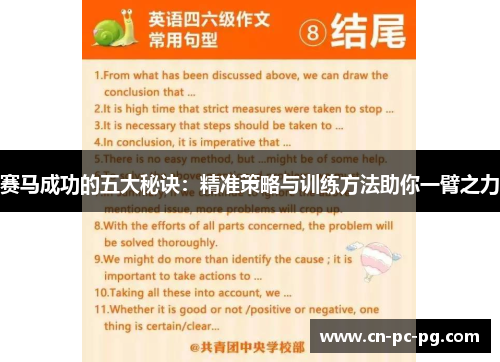 赛马成功的五大秘诀：精准策略与训练方法助你一臂之力