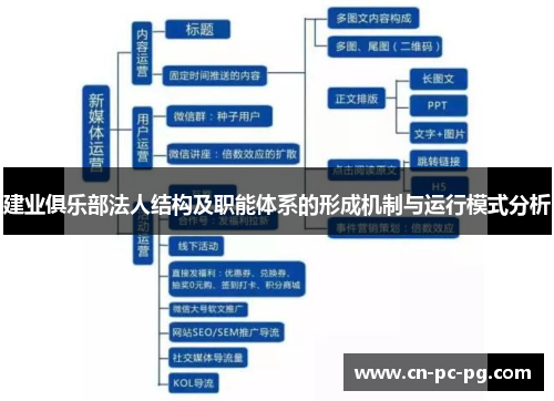 建业俱乐部法人结构及职能体系的形成机制与运行模式分析