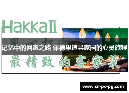 记忆中的回家之路 佩德里追寻家园的心灵旅程