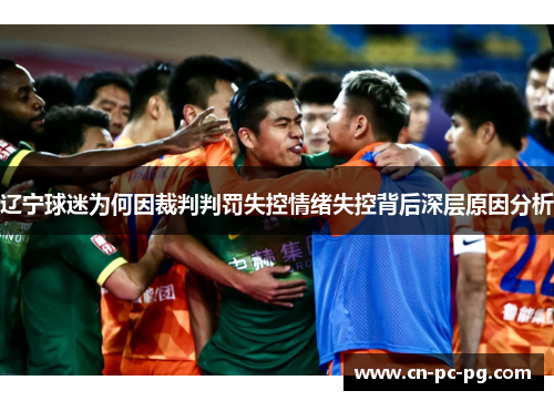 辽宁球迷为何因裁判判罚失控情绪失控背后深层原因分析