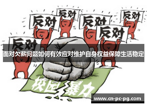 面对欠薪问题如何有效应对维护自身权益保障生活稳定