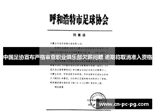 中国足协宣布严格审查职业俱乐部欠薪问题 逾期将取消准入资格 中国足协宣布严格审查职业俱乐部欠薪问题 逾期将取消准入资格