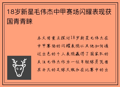 18岁新星毛伟杰中甲赛场闪耀表现获国青青睐